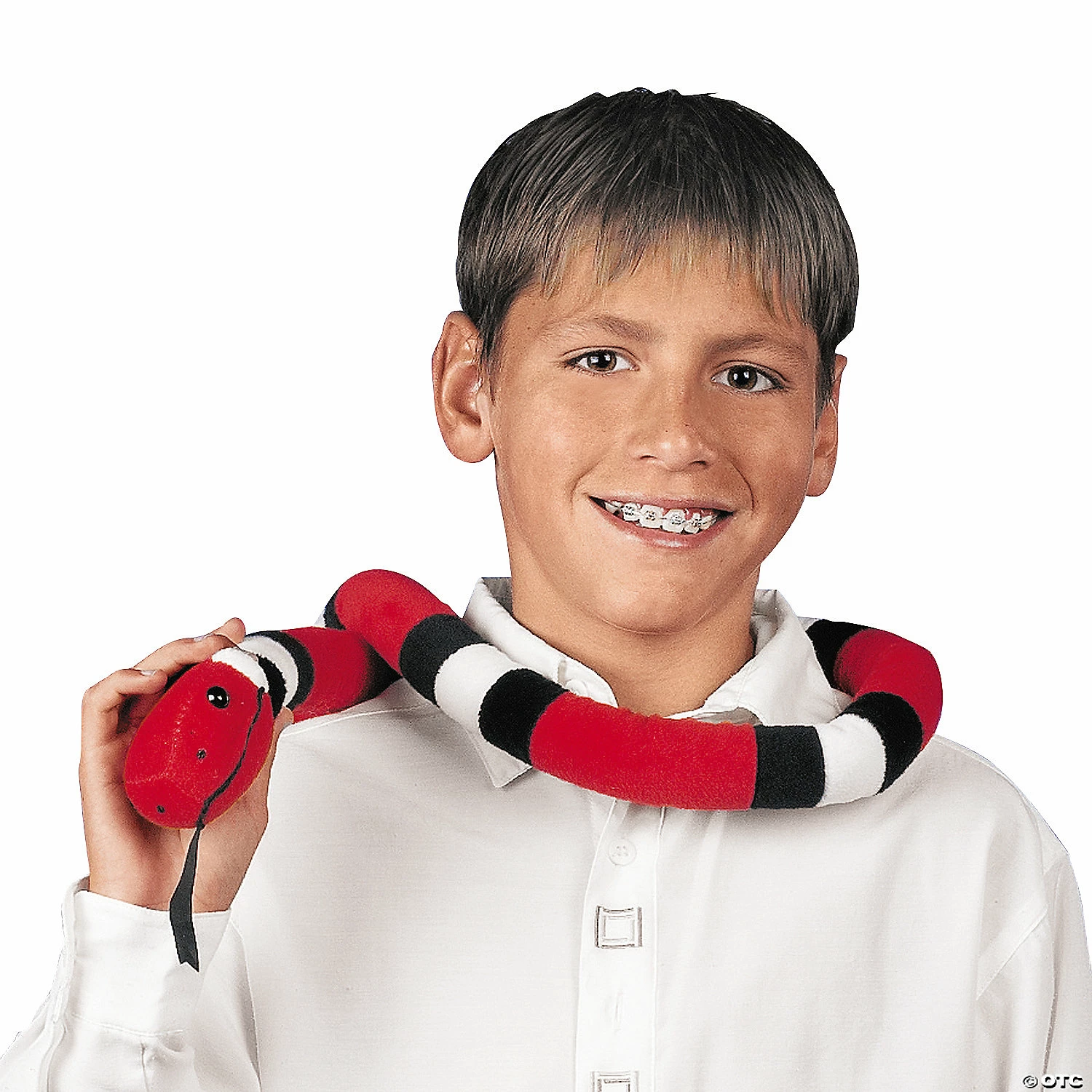 Best deal 🌟 Bright Striped Stuffed Snakes - 12 Pc. 👍 2 Best deal 🌟 Bright Striped Stuffed Snakes - 12 Pc. 👍 - Image 2